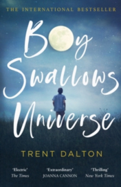 Boy Swallows Universe