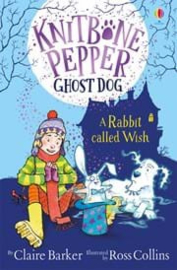 Knitbone Pepper Ghost Dog: A Rabbit Called Wish