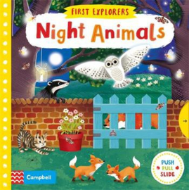 First Explorers: Night Animals Board Book (Jenny Wren)