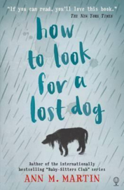 How to Look for a Lost Dog