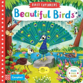 First Explorers: Beautiful Birds Board Book (Chorkung)