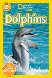 Dolphins