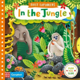 First Explorers: In the Jungle Board Book (Jenny Wren)