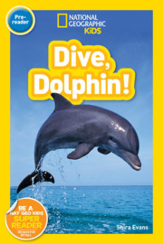 Dive, Dolphin!