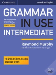 Grammar in Use Intermediate Fourth edition Student’s Book without answers