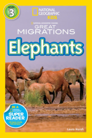 Great Migrations Elephants