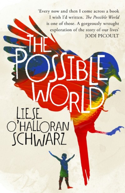 The Possible World
