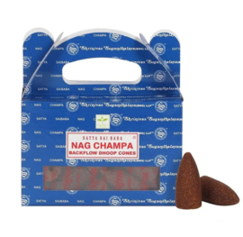 Satya Nag Champa backflow kegels