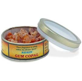 Korrelwierook Gum Copal