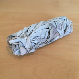 Smudge Witte Salie (12 cm)
