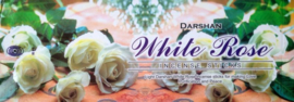 White Rose Wierook Darshan (Witte Roos)
