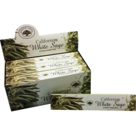 White Sage Wierook - Green Tree