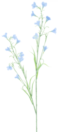 Campanula spray reeva blauw 105 cm