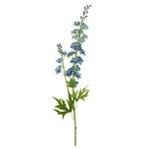 ridderspoor blauw, Delphinium finn spray