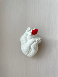Heartbeat N°05