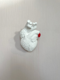 Heartbeat N°02