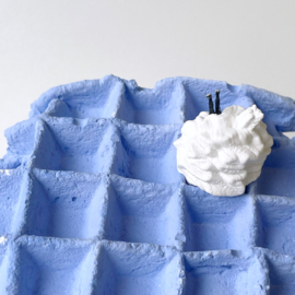 Souvenir Sucré - Wafel 1