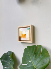 Canvas 46
