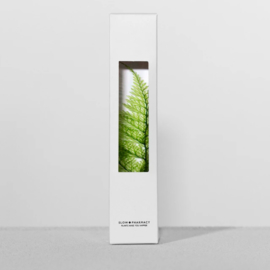 Slow Farmacy 'Plant in een fles' - Tabaria Fern