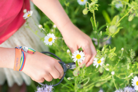 Pocket FlowerPress