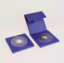 Magnetische Broche SOLAR - Klein - Zilver Blinkend