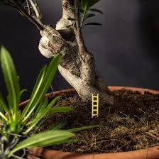 Botanopia Vogelhuisje voor planten