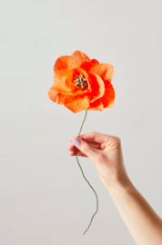 Papieren bloem - Papaver Rood