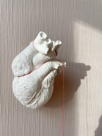Heartbeat N°04