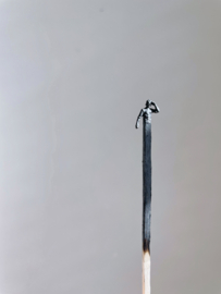 No 21