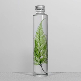 Slow Farmacy 'Plant in een fles' - Tabaria Fern