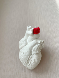 Heartbeat N°05