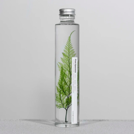 Slow Farmacy 'Plant in een fles' - Tabaria Fern