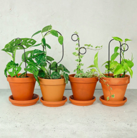 Botanopia Set van 4 Mini Plantensteunen - Zwart