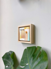 Canvas 42
