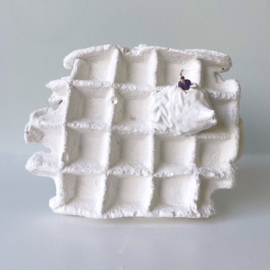 Souvenir Sucré - Wafel 24