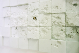 Canvasstory "Offside" - Dandelion Dreams