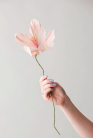 Papieren bloem - Lily Roze