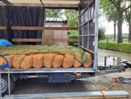 Hazelnoten (10 kilo)