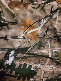 03 Huisje  Camouflage herfst  bos waterafstotend