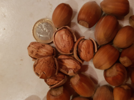 Hazlenuts (1 kilo)