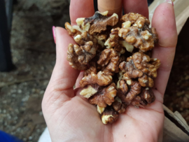 Walnuts peeled (1 kilo)