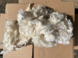 Sheep wool soft and pure 500 g