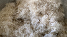 Sheep wool soft and pure 1000 g