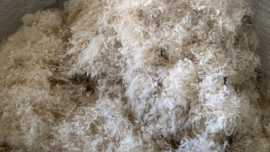 Sheep wool soft and pure 500 g