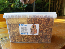 Aleppo pine seeds - soft coarse (1 kilo)