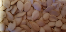 Pumpkin seeds (500gr)