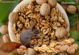 Boekje:  Wat eten eekhoorns?