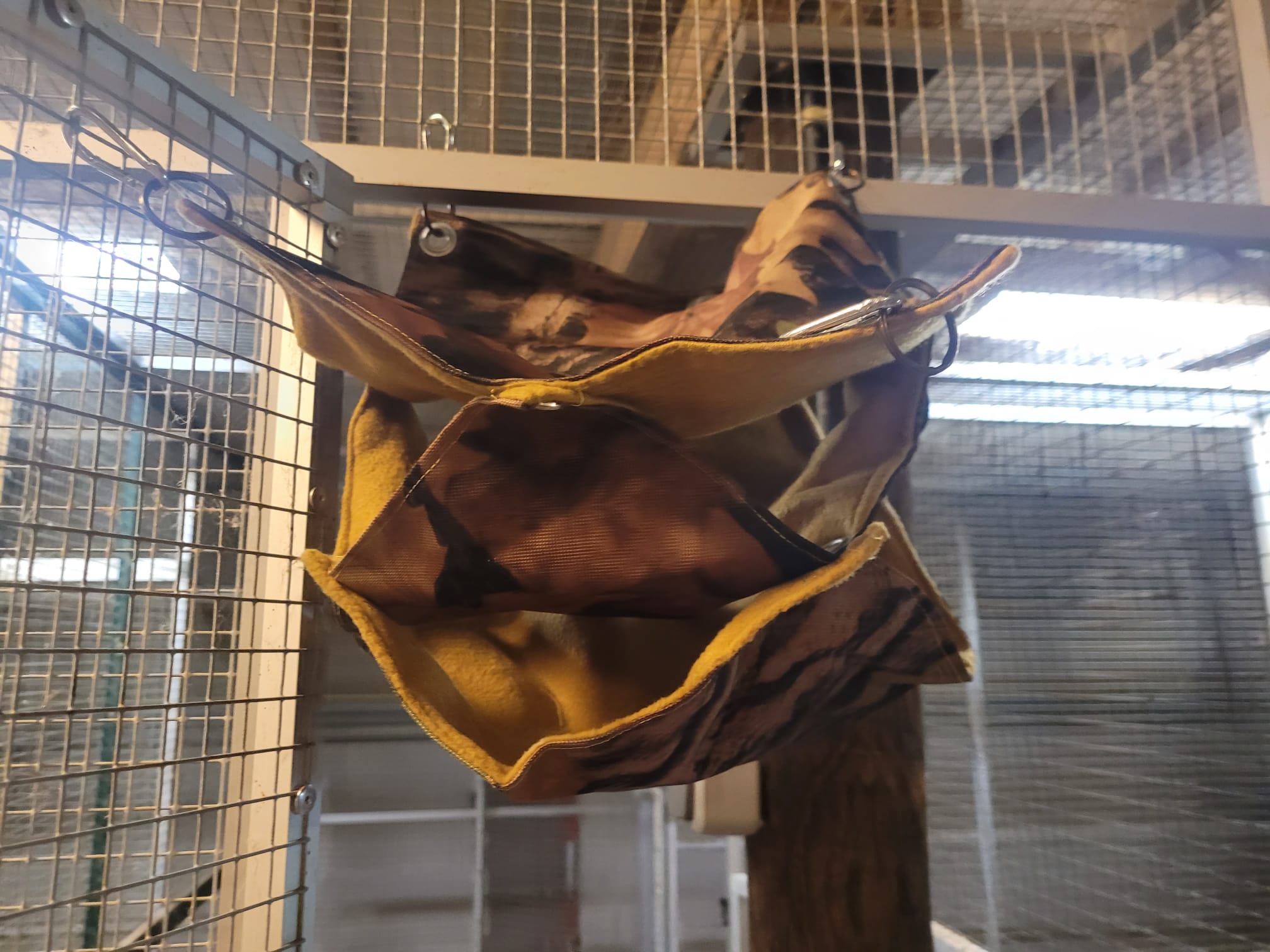 camouflage motief met honingkleur
