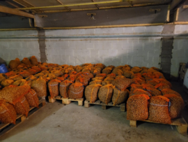 Hazelnoten (10 kilo)
