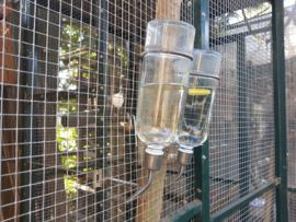 Drinking bottles (glass)